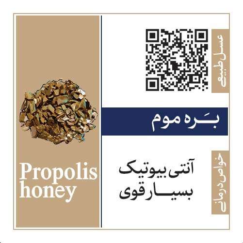 لوگو عسل بره موم