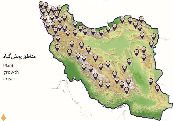 منطقه رویش عسل چندگیاه کوهستان
